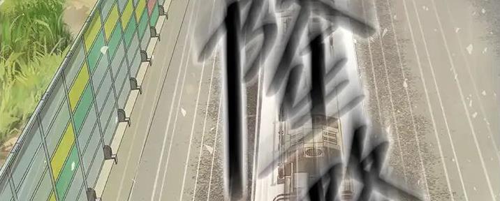 第204页