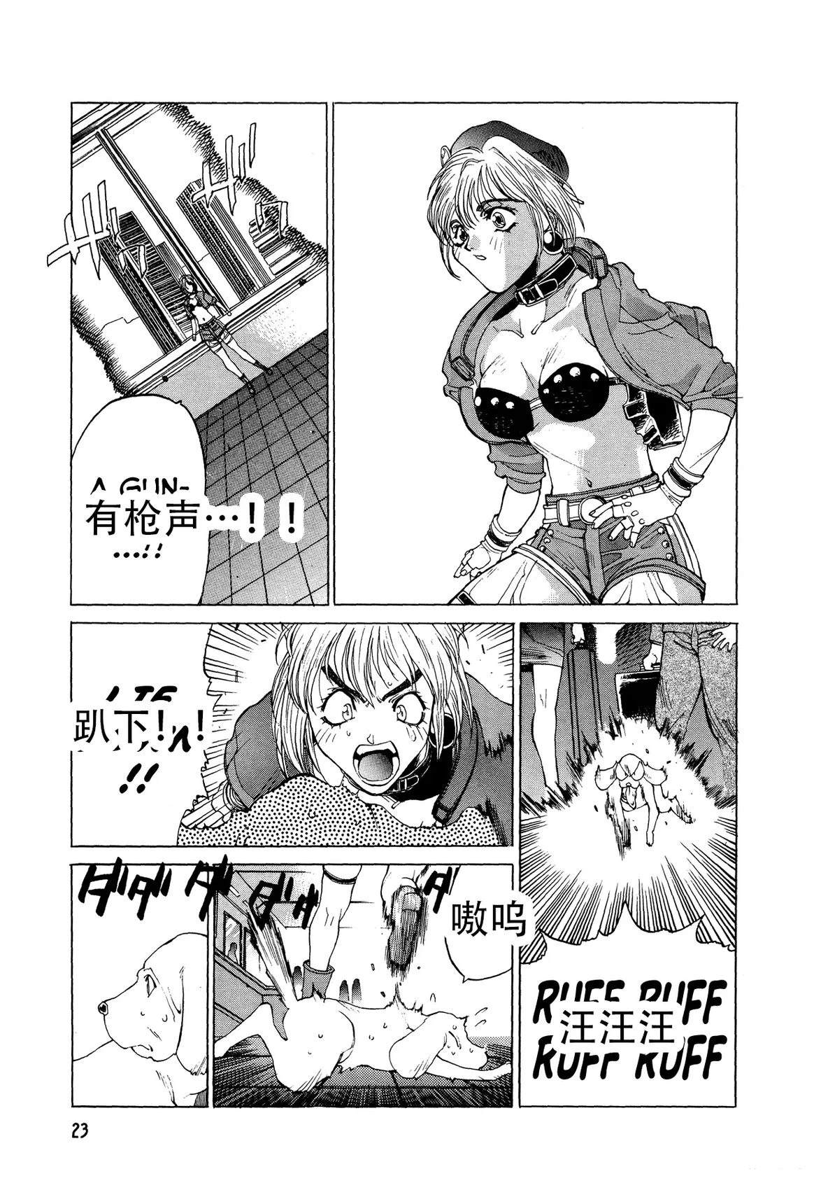 第23页